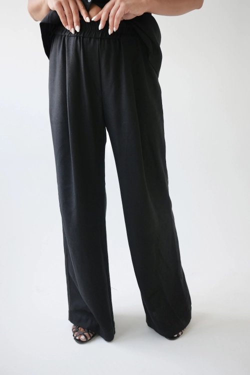 evolie black.jpeg