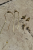 46.png